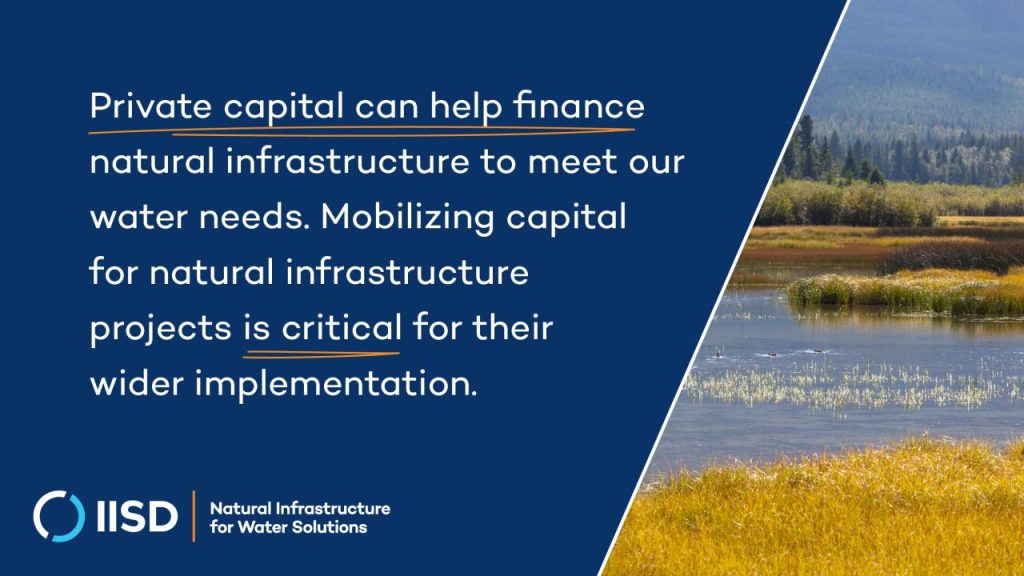 social media card that reads "private capital can help finance natural infrastructure to meet our water needs. Mobilizing capital for natural infrastructure projects is critical for their wider implementation".